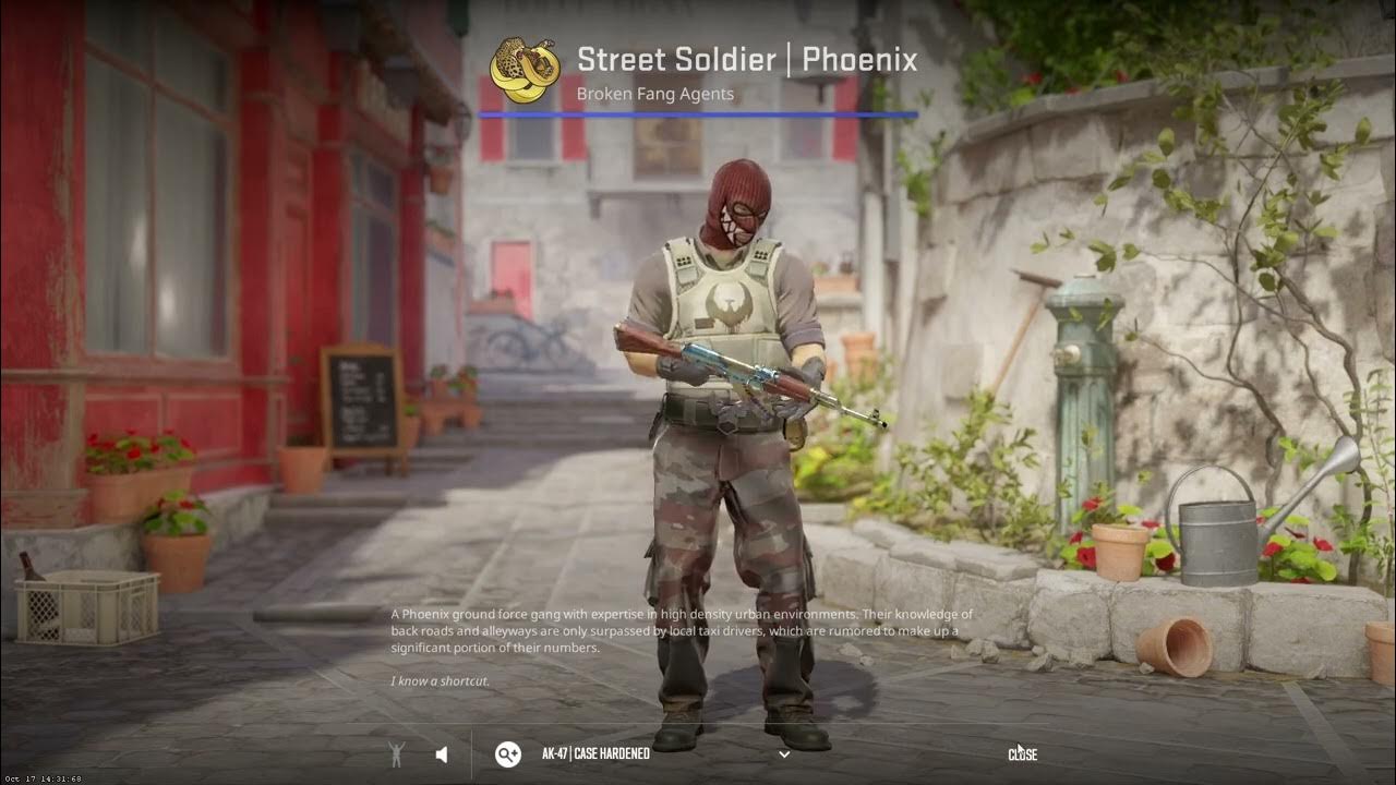 The-Soldier-Phoenix-Connexion title